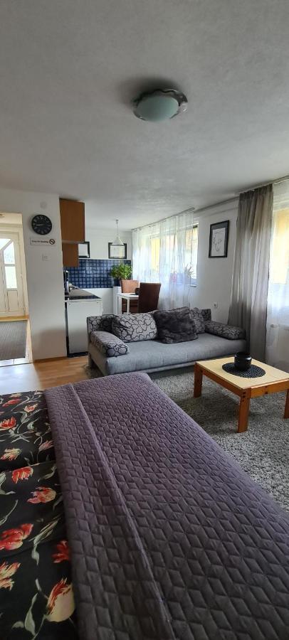 Stari Grad - Na Uni - Bihac Cazin Apartment