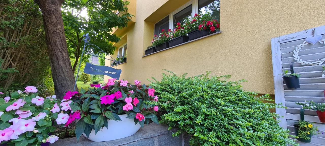 Stari Grad - Na Uni - Bihac Cazin Apartment Ostrozac